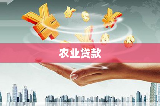 龙川农业贷款