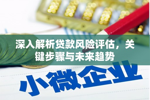龙川深入解析贷款风险评估，关键步骤与未来趋势