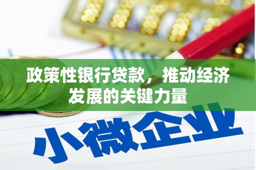 龙川政策性银行贷款，推动经济发展的关键力量