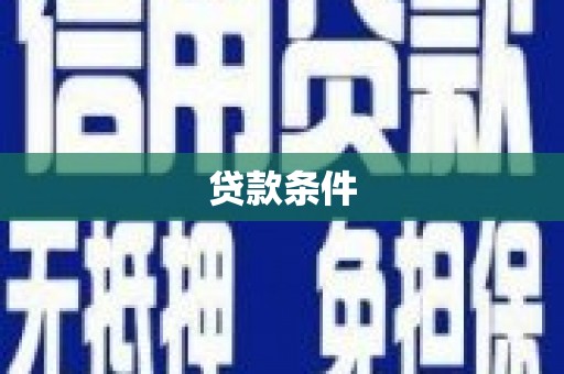 龙川贷款条件