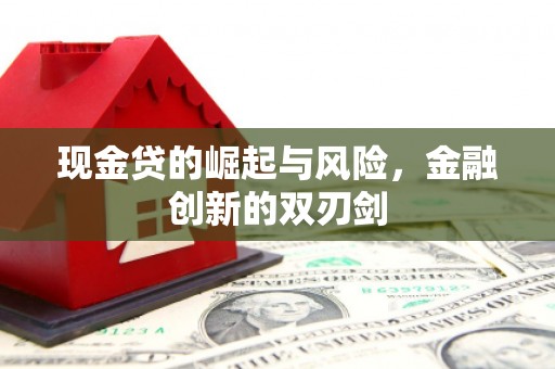 龙川现金贷的崛起与风险，金融创新的双刃剑