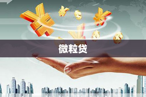 龙川微粒贷