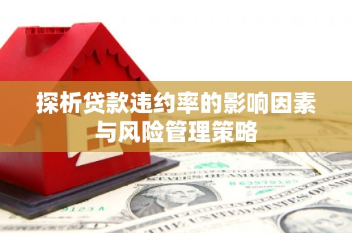 龙川探析贷款违约率的影响因素与风险管理策略