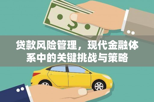 龙川贷款风险管理，现代金融体系中的关键挑战与策略