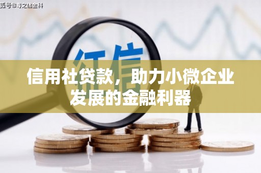 龙川信用社贷款，助力小微企业发展的金融利器