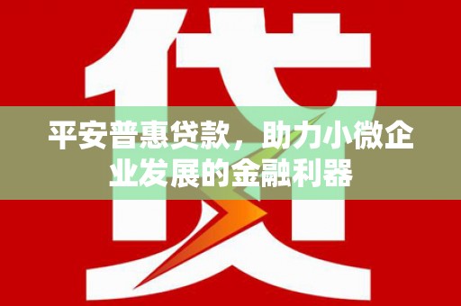 龙川平安普惠贷款，助力小微企业发展的金融利器