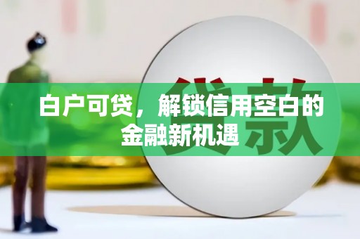 龙川白户可贷，解锁信用空白的金融新机遇