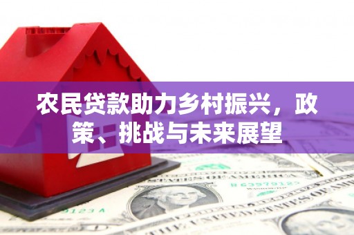 龙川农民贷款助力乡村振兴，政策、挑战与未来展望