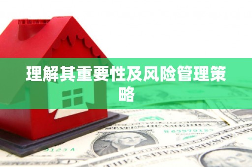 龙川理解其重要性及风险管理策略