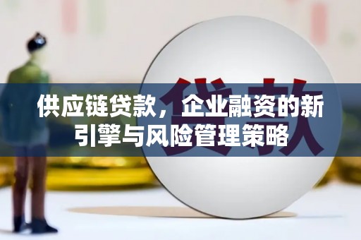 龙川供应链贷款，企业融资的新引擎与风险管理策略