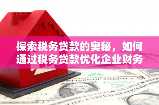 龙川探索税务贷款的奥秘，如何通过税务贷款优化企业财务