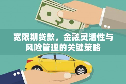 龙川宽限期贷款，金融灵活性与风险管理的关键策略