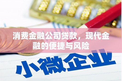 龙川消费金融公司贷款，现代金融的便捷与风险