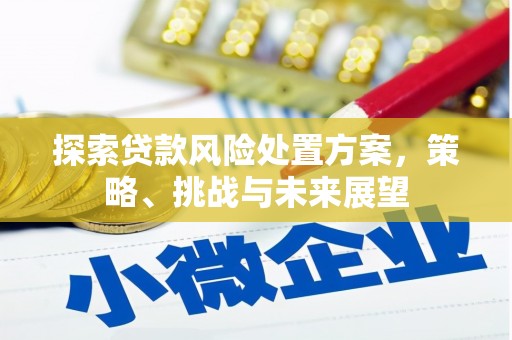 龙川探索贷款风险处置方案，策略、挑战与未来展望