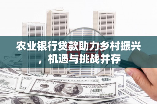 龙川农业银行贷款助力乡村振兴，机遇与挑战并存