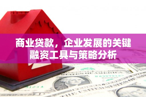 龙川商业贷款，企业发展的关键融资工具与策略分析