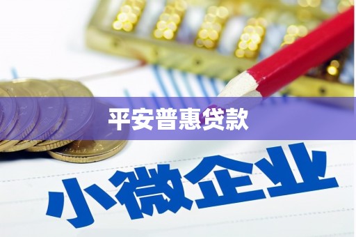 龙川平安普惠贷款