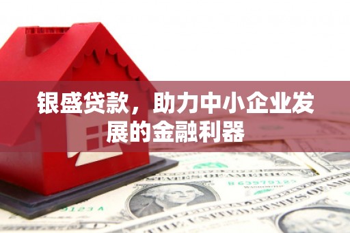 龙川银盛贷款，助力中小企业发展的金融利器