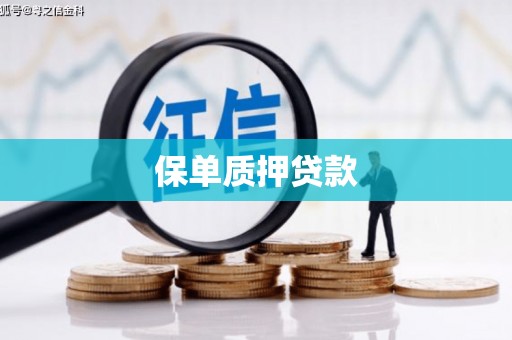 龙川保单质押贷款