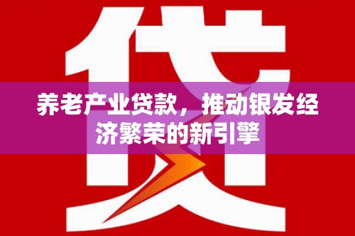 龙川养老产业贷款，推动银发经济繁荣的新引擎