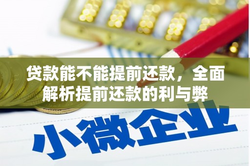 龙川贷款能不能提前还款，全面解析提前还款的利与弊