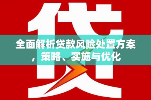 龙川全面解析贷款风险处置方案，策略、实施与优化