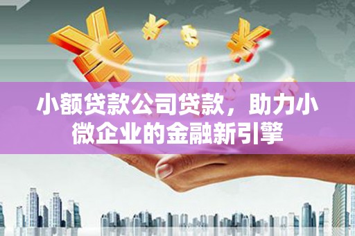 龙川小额贷款公司贷款，助力小微企业的金融新引擎