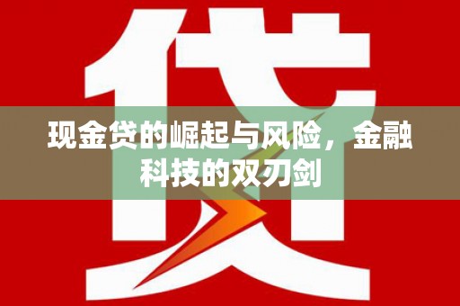 龙川现金贷的崛起与风险，金融科技的双刃剑