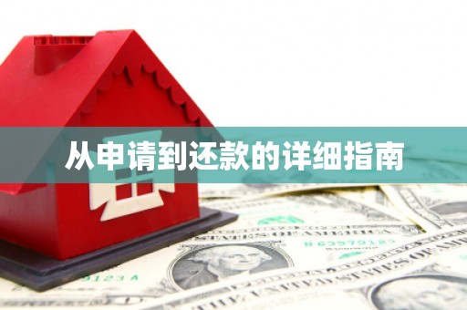 龙川从申请到还款的详细指南