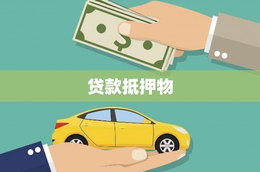 龙川贷款抵押物