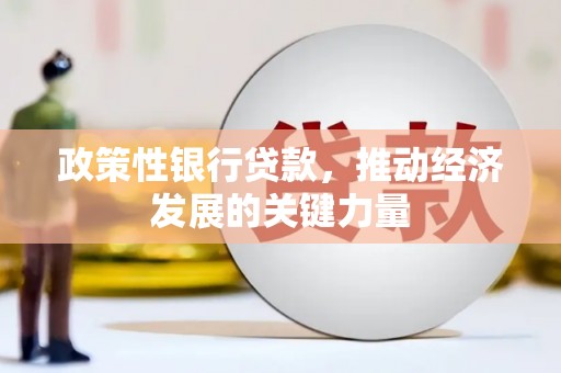 龙川政策性银行贷款，推动经济发展的关键力量