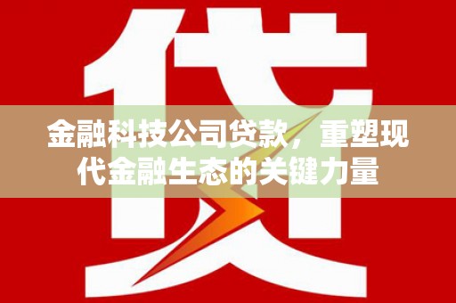 龙川金融科技公司贷款，重塑现代金融生态的关键力量