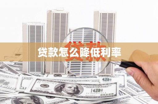 龙川贷款怎么降低利率