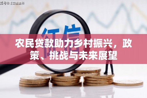 龙川农民贷款助力乡村振兴，政策、挑战与未来展望
