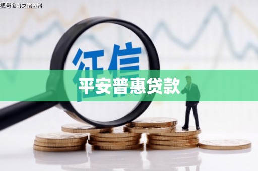龙川平安普惠贷款