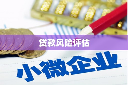 龙川贷款风险评估