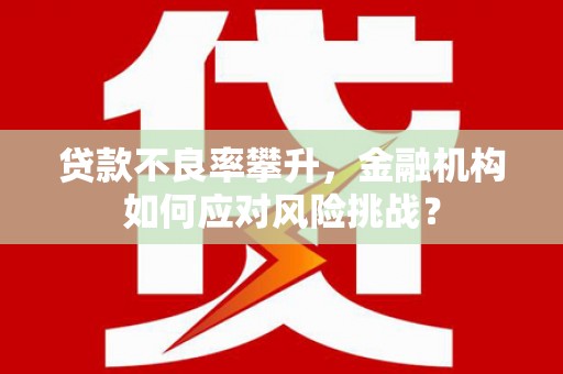 龙川贷款不良率攀升，金融机构如何应对风险挑战？