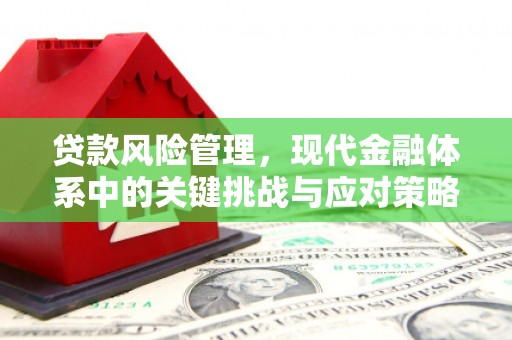 龙川贷款风险管理，现代金融体系中的关键挑战与应对策略