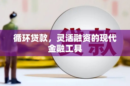 龙川循环贷款，灵活融资的现代金融工具