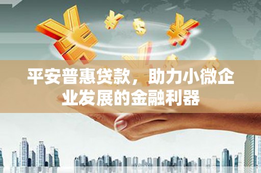 龙川平安普惠贷款，助力小微企业发展的金融利器