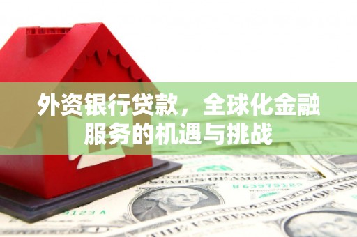 龙川外资银行贷款，全球化金融服务的机遇与挑战