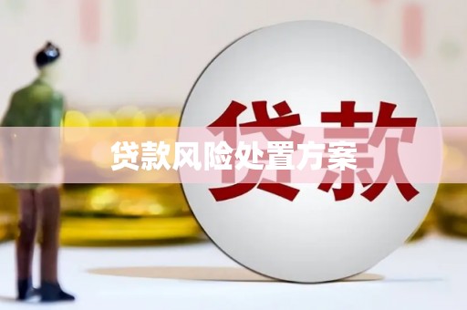 龙川贷款风险处置方案