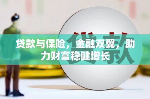 龙川贷款与保险，金融双翼，助力财富稳健增长