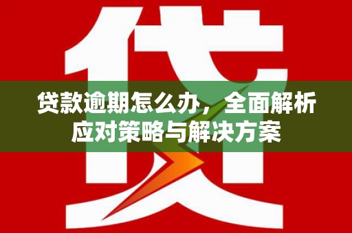 龙川贷款逾期怎么办，全面解析应对策略与解决方案