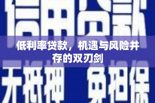 龙川低利率贷款，机遇与风险并存的双刃剑