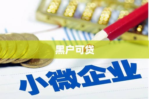 龙川黑户可贷