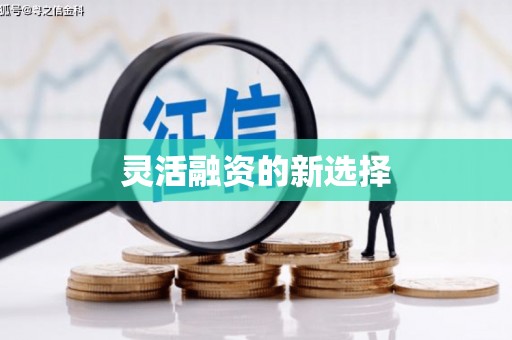 龙川灵活融资的新选择
