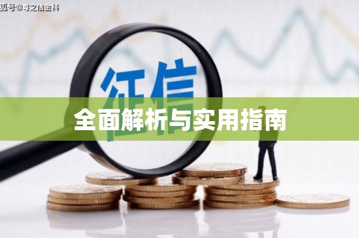 龙川全面解析与实用指南