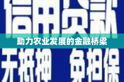 龙川助力农业发展的金融桥梁