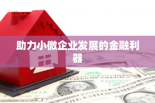 龙川助力小微企业发展的金融利器
